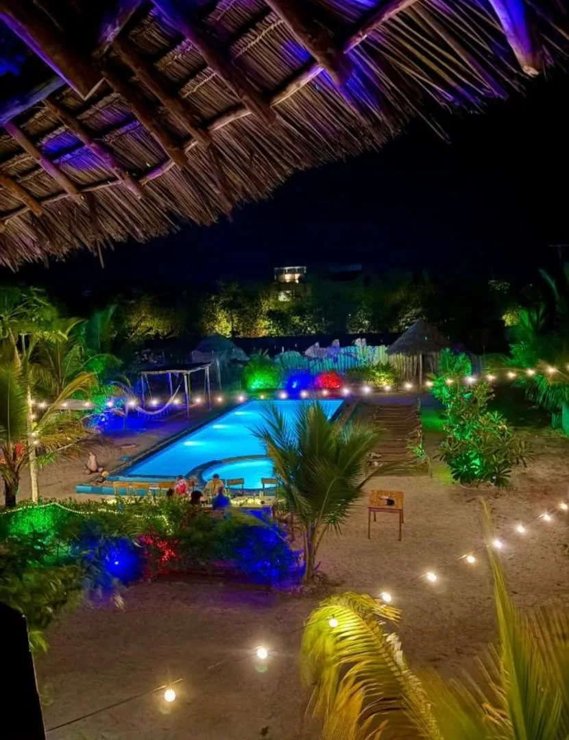 Tropical garden and pool lights at night